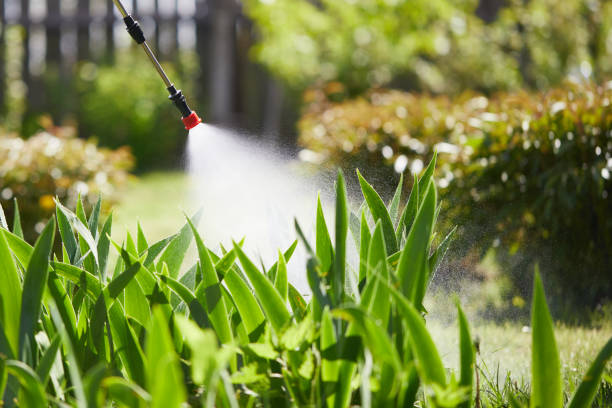 Tamper-Resistant Bait Stations for Rodents in Pioneer