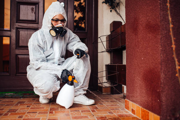 Attic and Crawl Space Rodent Treatment in Pioneer