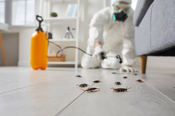Commercial Rodent Management in Pioneer